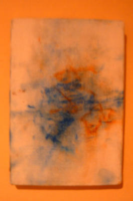 20060101_Sans Nom Pastel sur toile