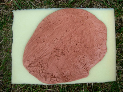 20100301_Galettegriffee