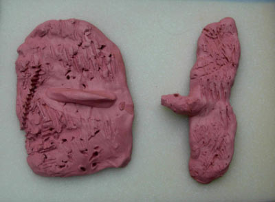 20100601_Oiseau-vers-son-Nid